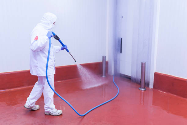 Best Vinyl Siding Pressure Washing in Oxford, IN